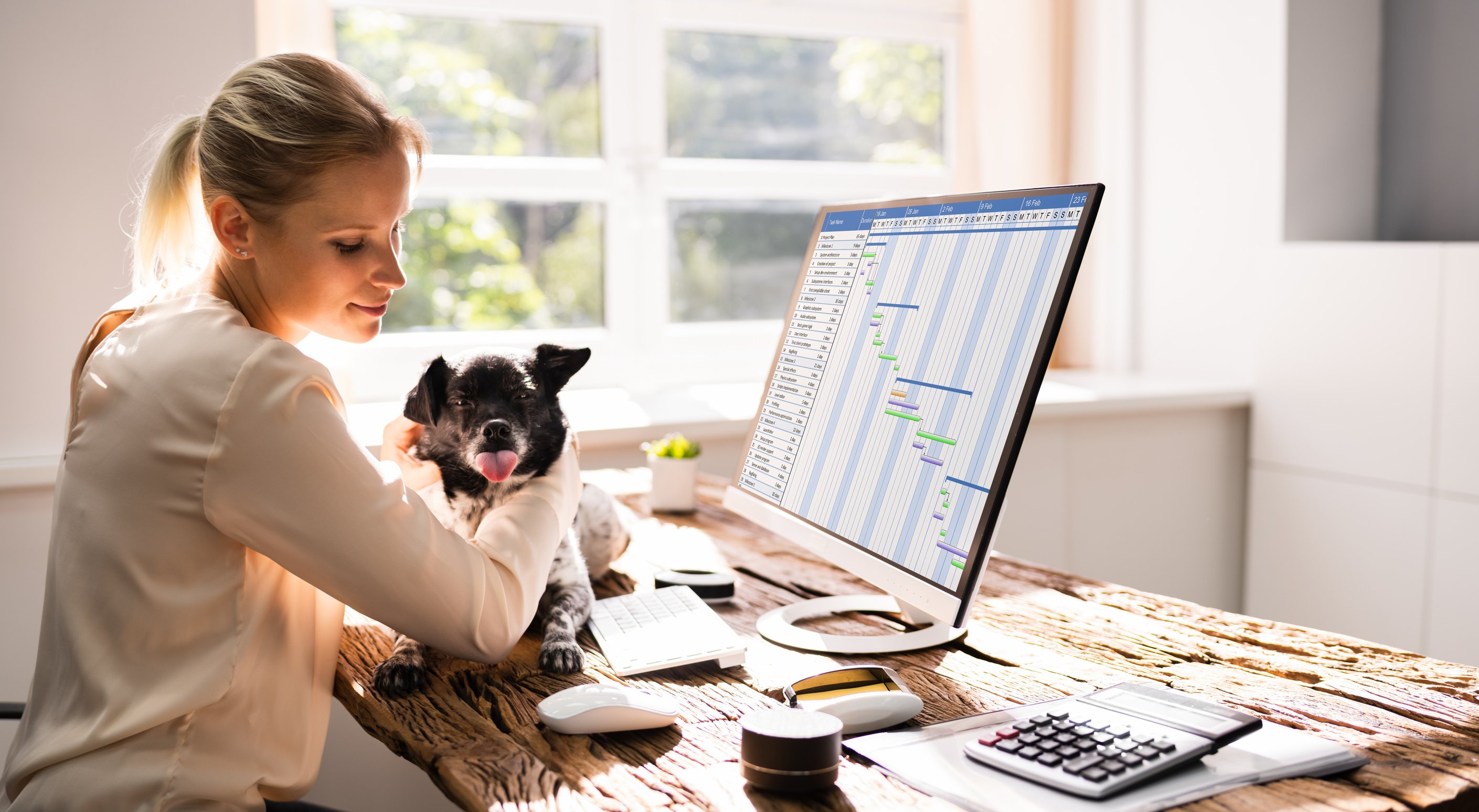 Woman Using Business Computer With Dog